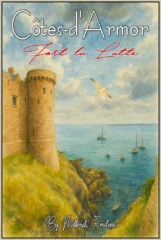 Fort la Latte, Château de La Roche Goyon