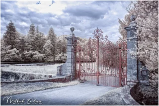 Site Abbatial de Saint-Maurice