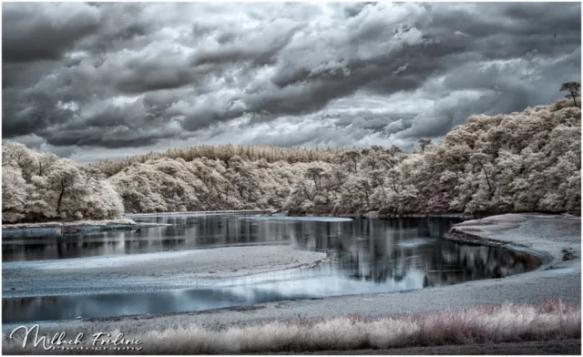 Site Abbatial de Saint-Maurice