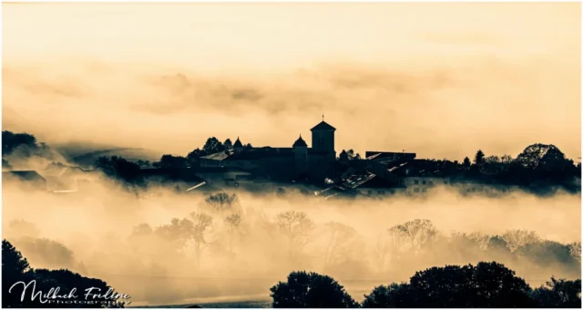 Bardos dans le brouillard