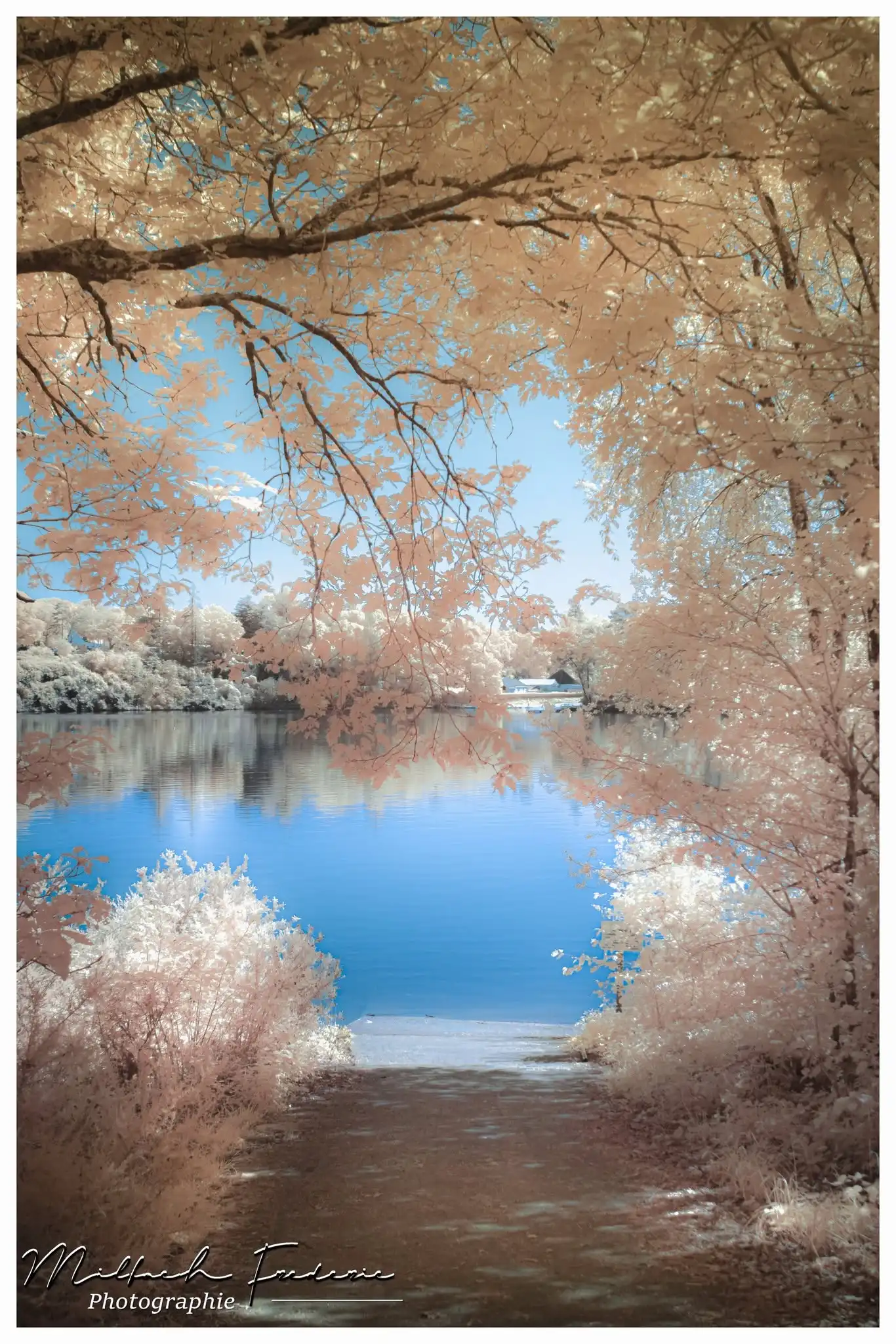 Tirage d’art – “Affiche Infrarouge – Lac de Guerlédan” – Photographie Fine Art – Image 2