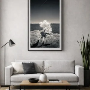 Tirage d’art – “L’Arbre Solitaire de Berder” – Photographie Fine Art