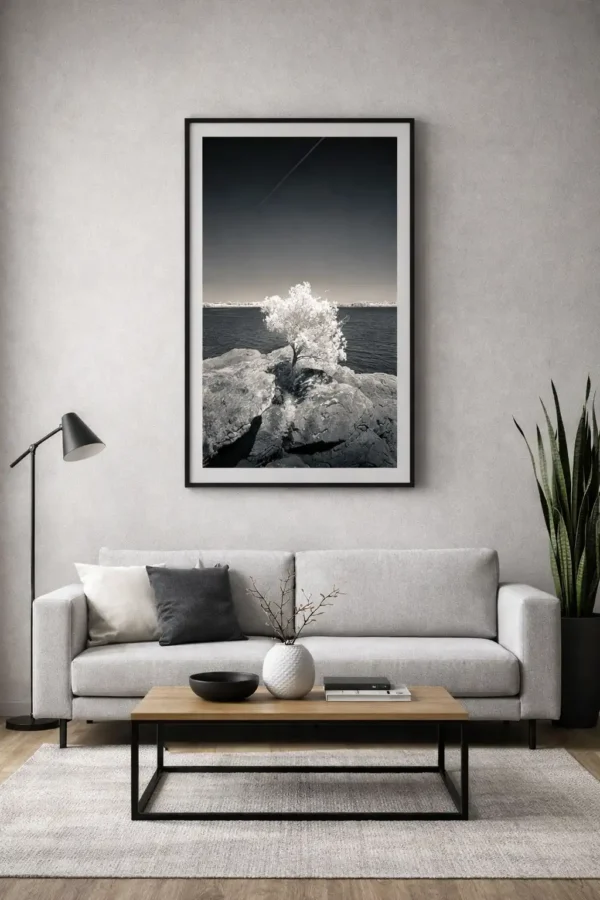 Tirage d’art – “L’Arbre Solitaire de Berder” – Photographie Fine Art