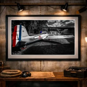 Tirage d’art – “Morane‑Saulnier MS.733” – Photographie Fine Art
