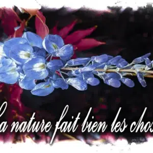 Mug Céramique « Glycine Enchantée  » — Édition Botanical série