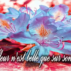 Mug Céramique « Rhododendron » — Édition Botanical série