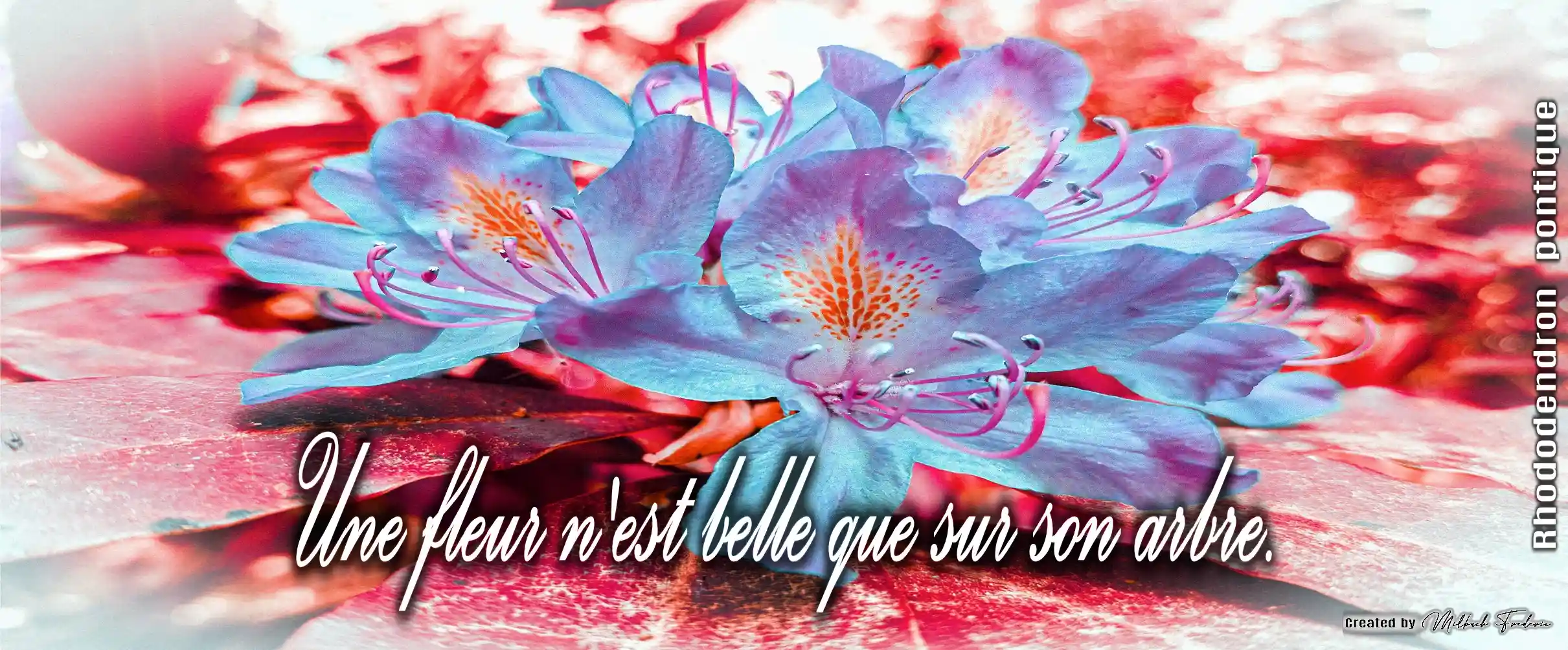 Mug Céramique « Rhododendron » — Édition Botanical série