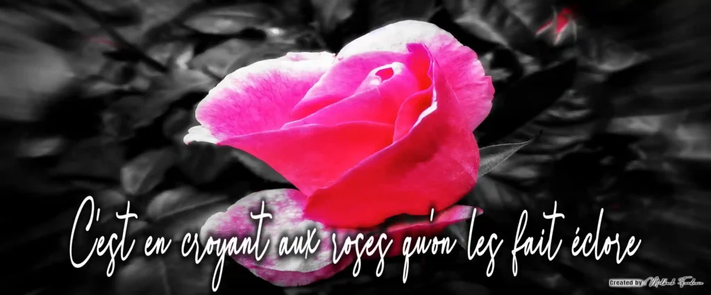 Mug Céramique « Rose éclose » — Édition Botanical série