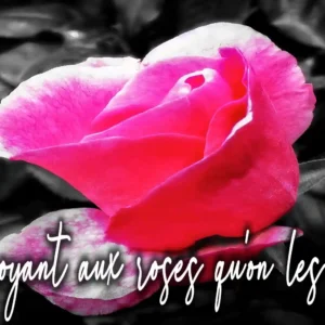 Mug Céramique « Rose éclose » — Édition Botanical série